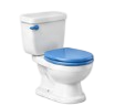Toilet Repair